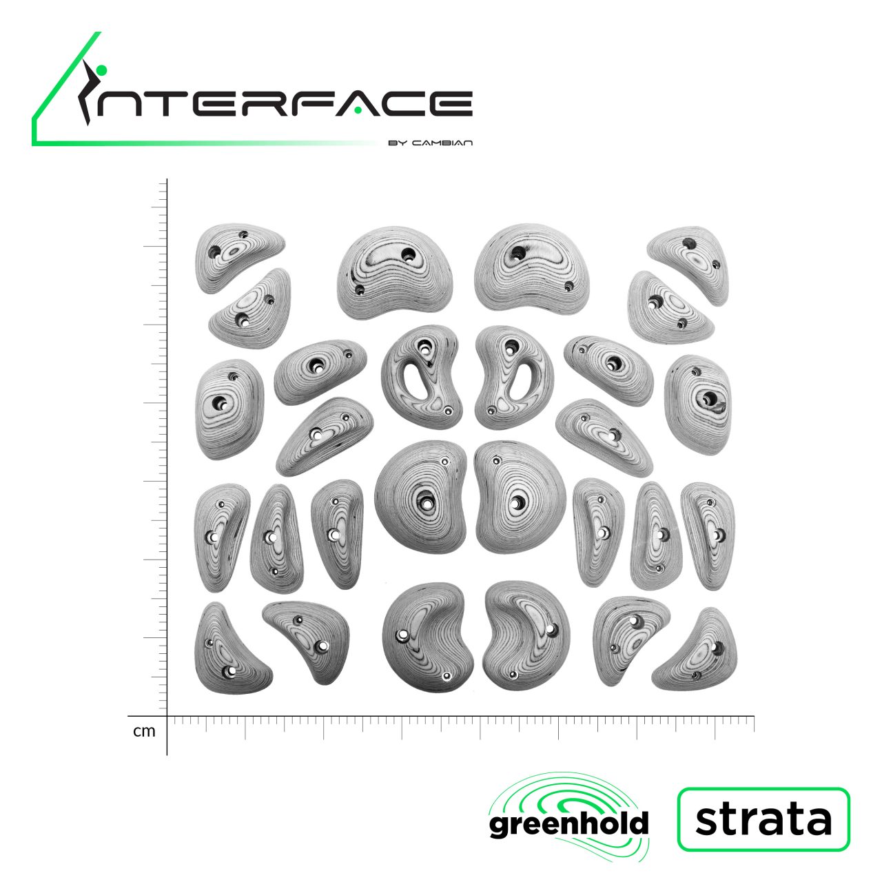 14 symmetrical paired climbing holds with scale bar graduated in centimetres